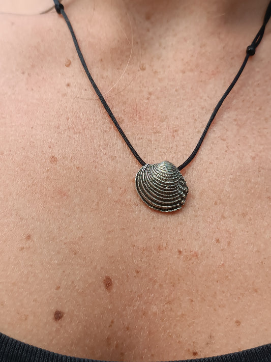 Colgante concha Edulis